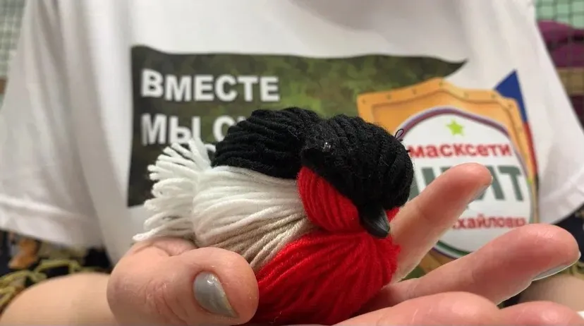 Общественная организация Народный фронт РБ