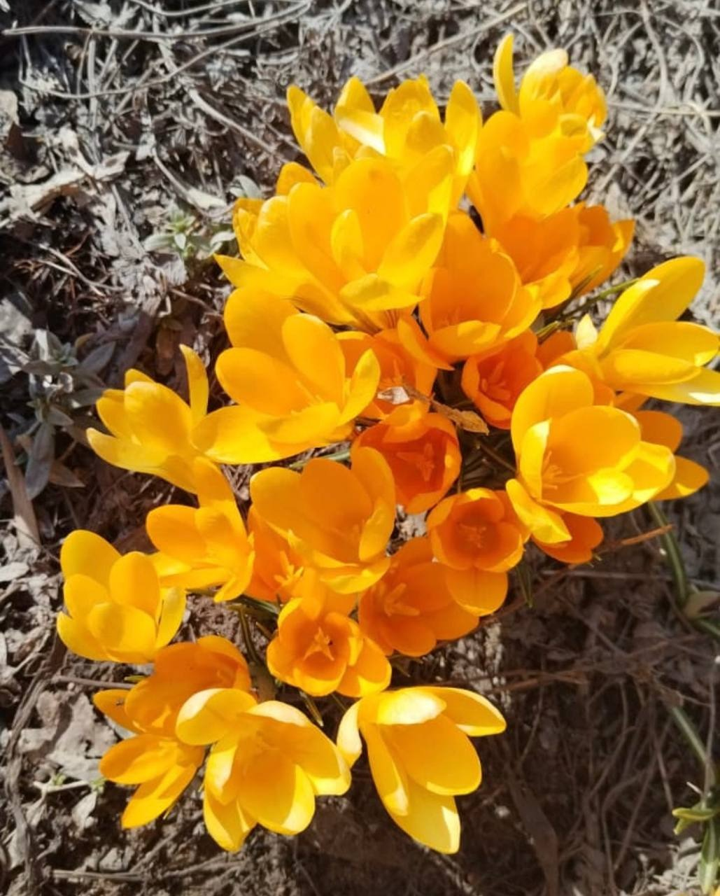 telegram-канал главы администрации Дёмского района Уфы Ивана Иванова