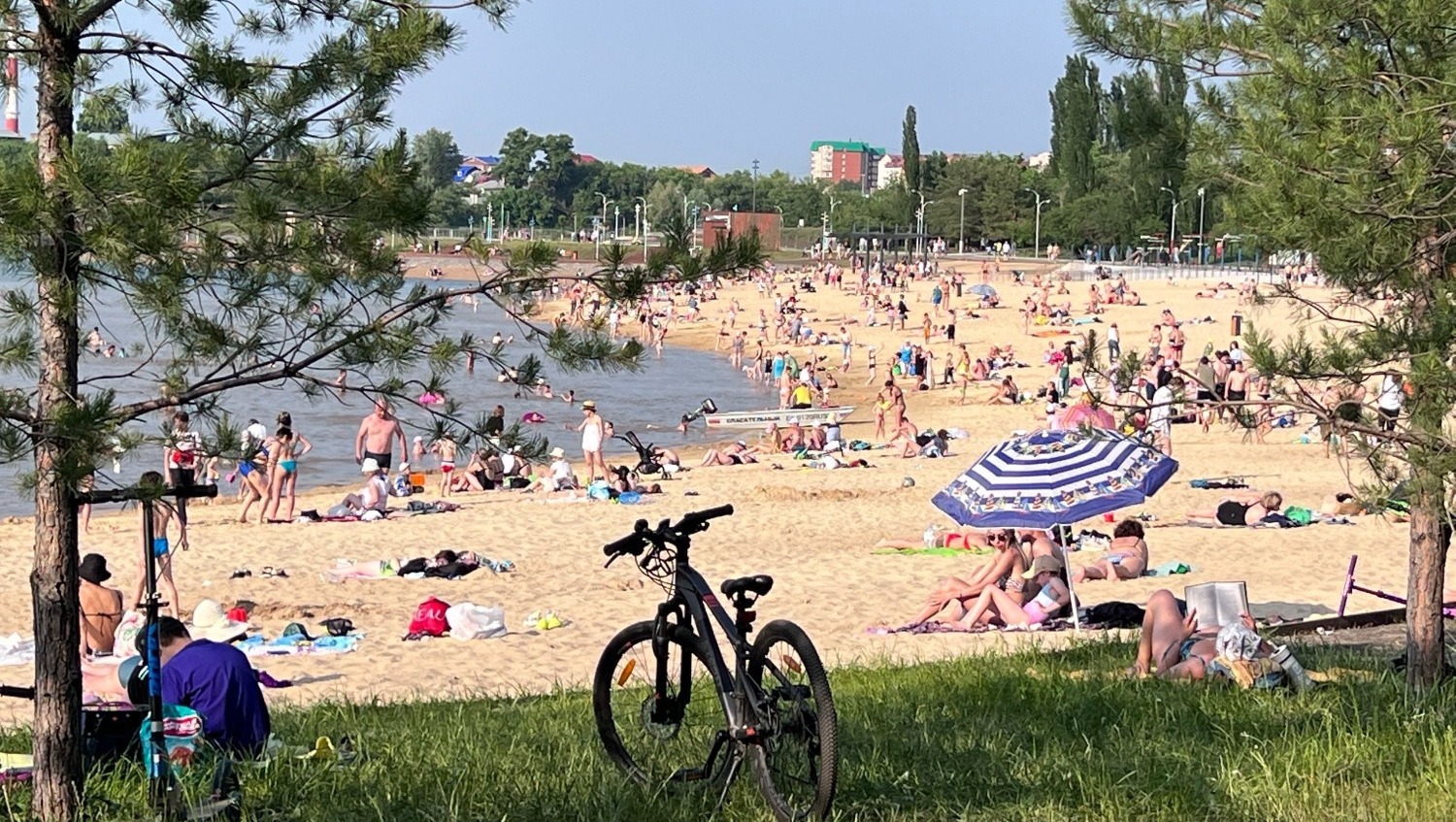 Ксения Калинина