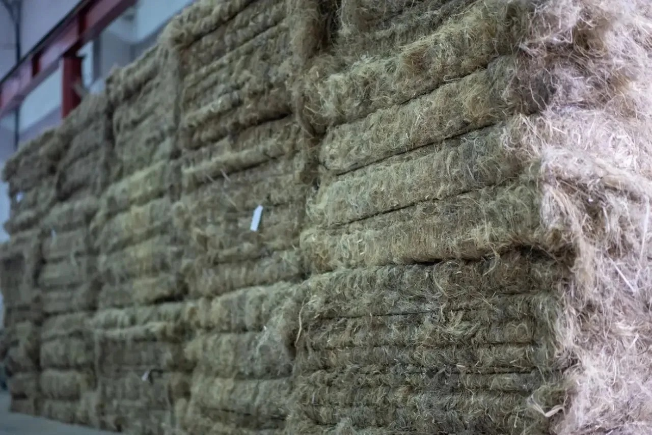 Радий Хабиров ТГ-канал