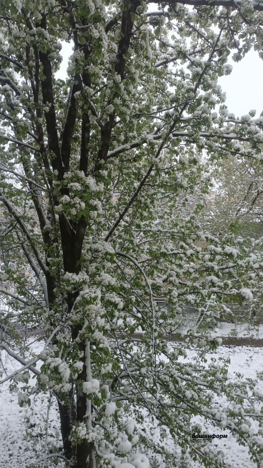 Галина Бахшиева