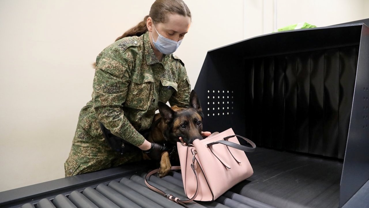 Валерий Шахов