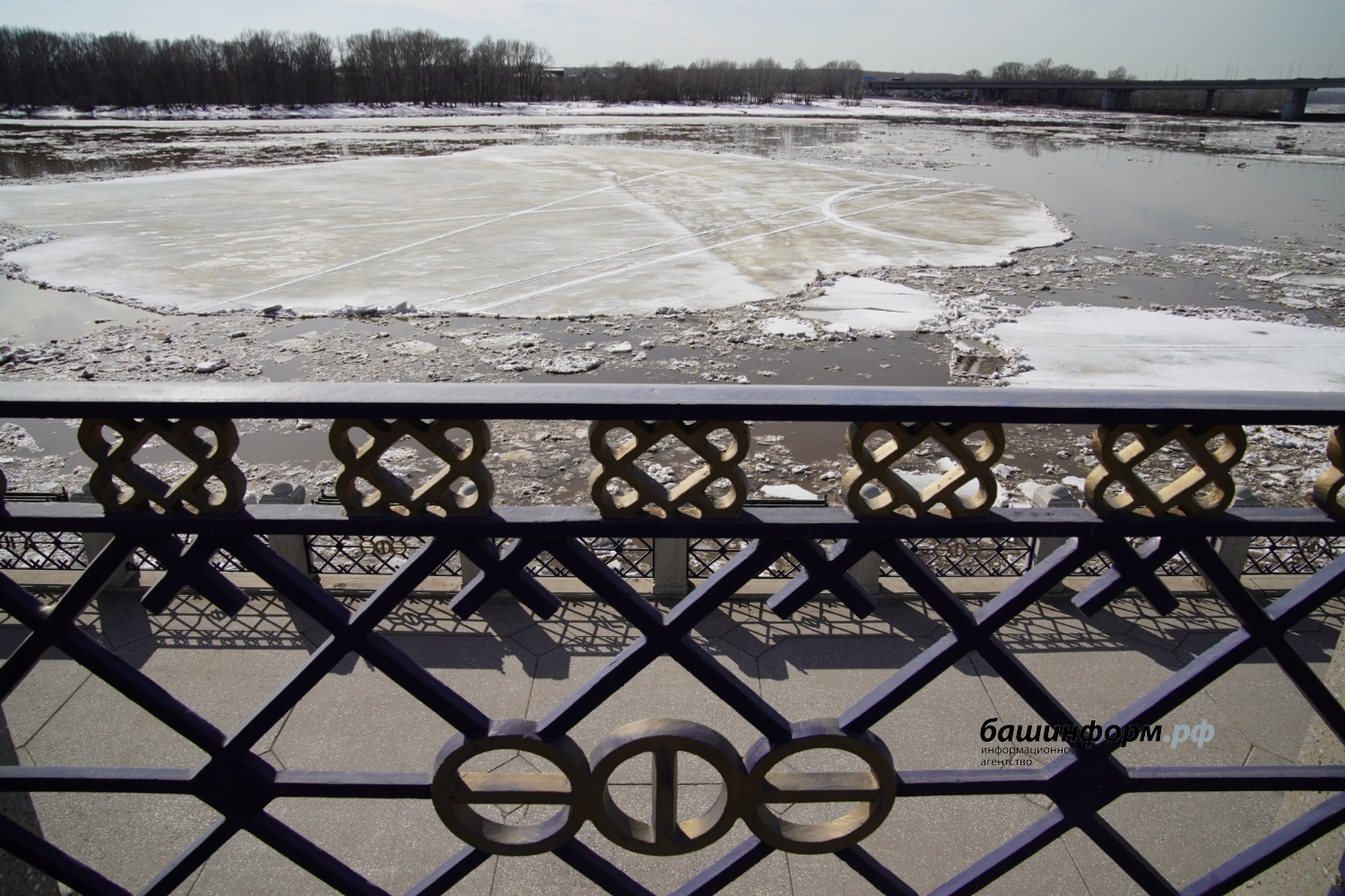 Олег Яровиков ИА "Башинформ"