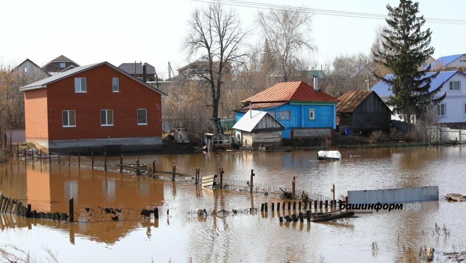 Валерий Шахов, архив