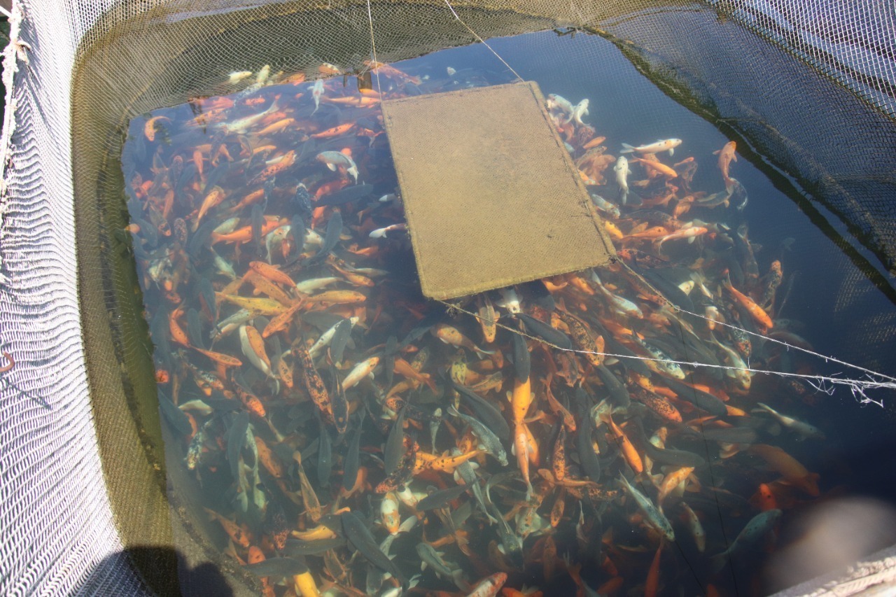 ПАО «Ростелеком» в Башкортостане предоставлено пресс-службой ПАО «Ростелеком» в Башкортостане