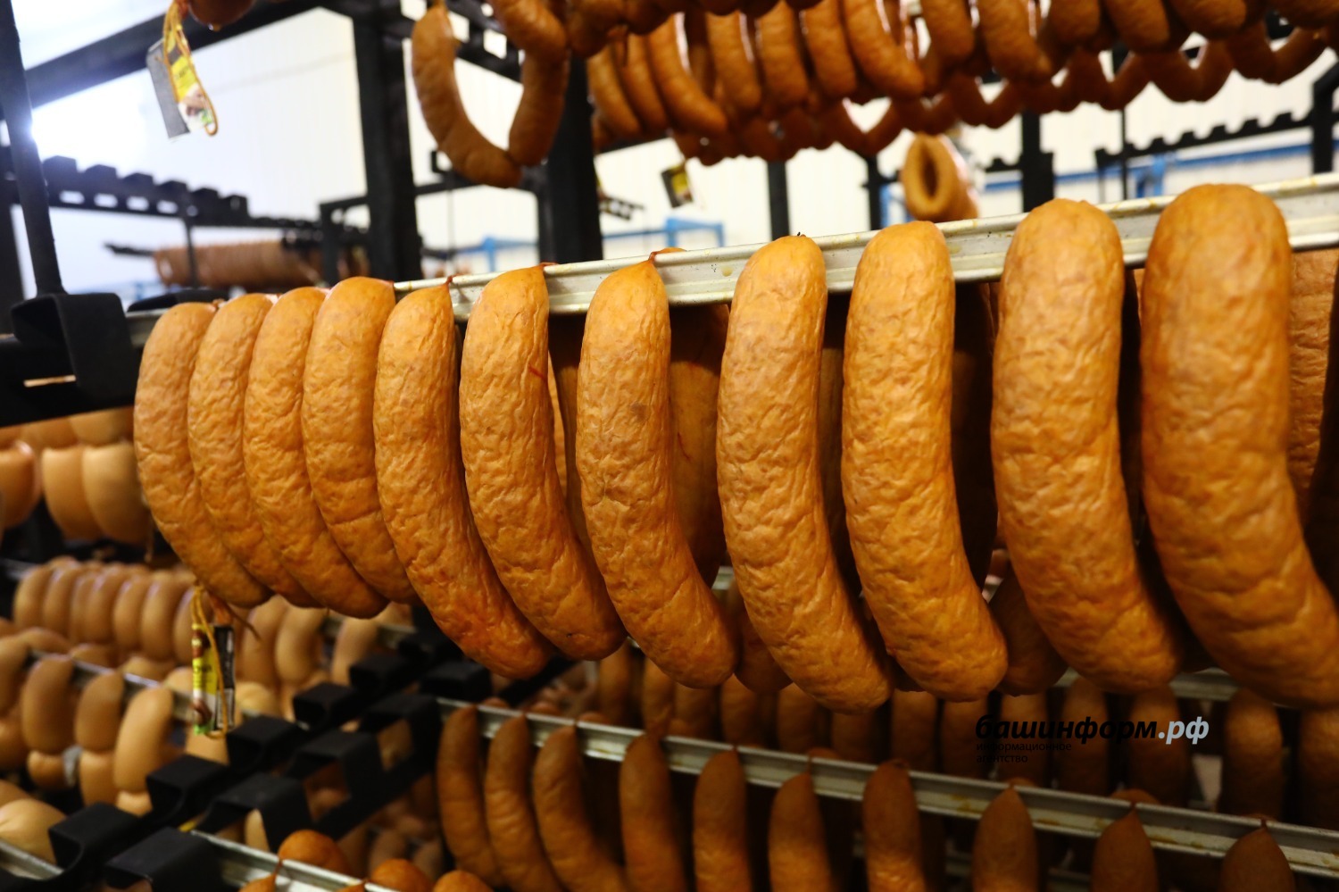 Валерий Шахов