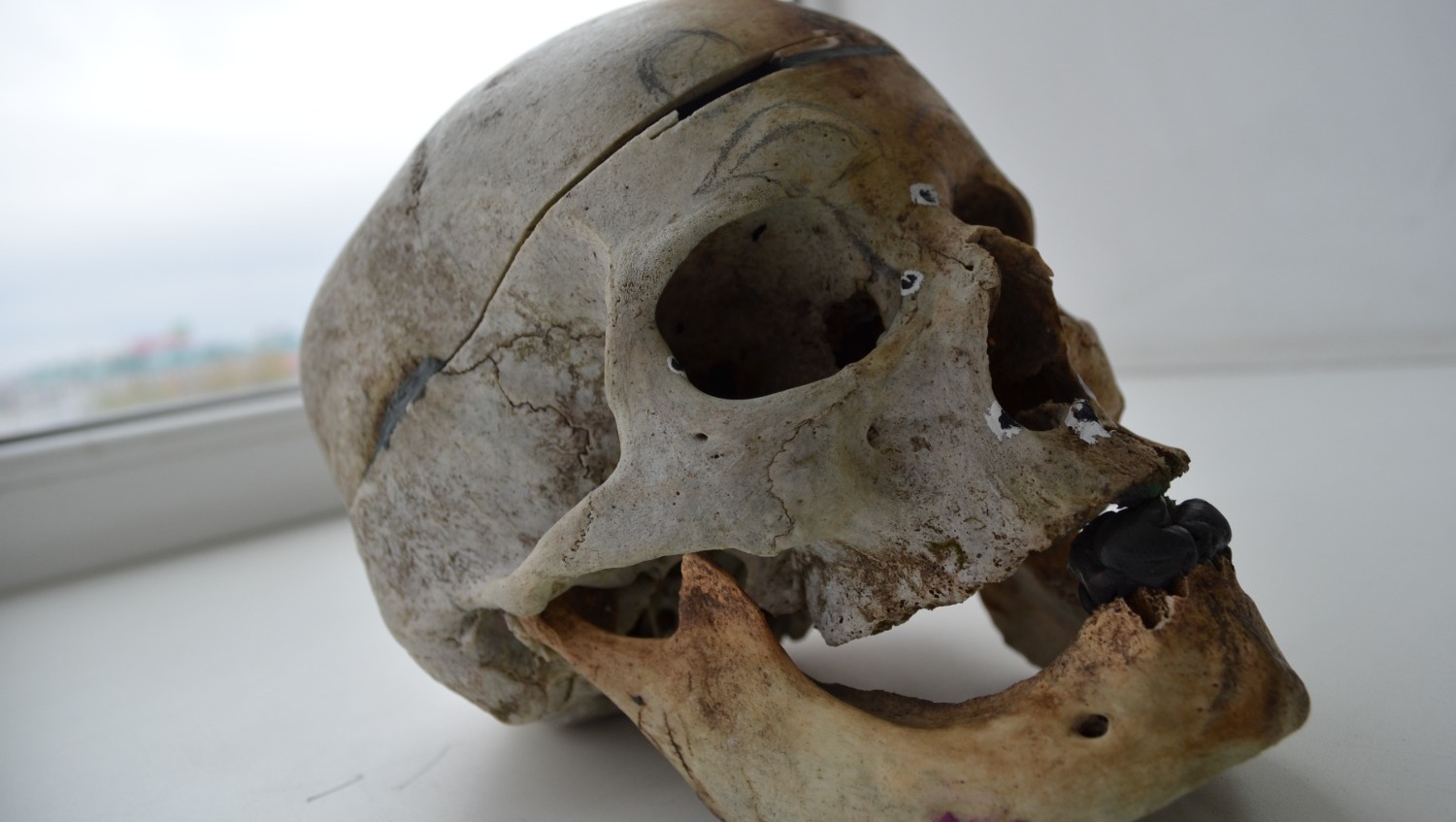 Ксения Калинина