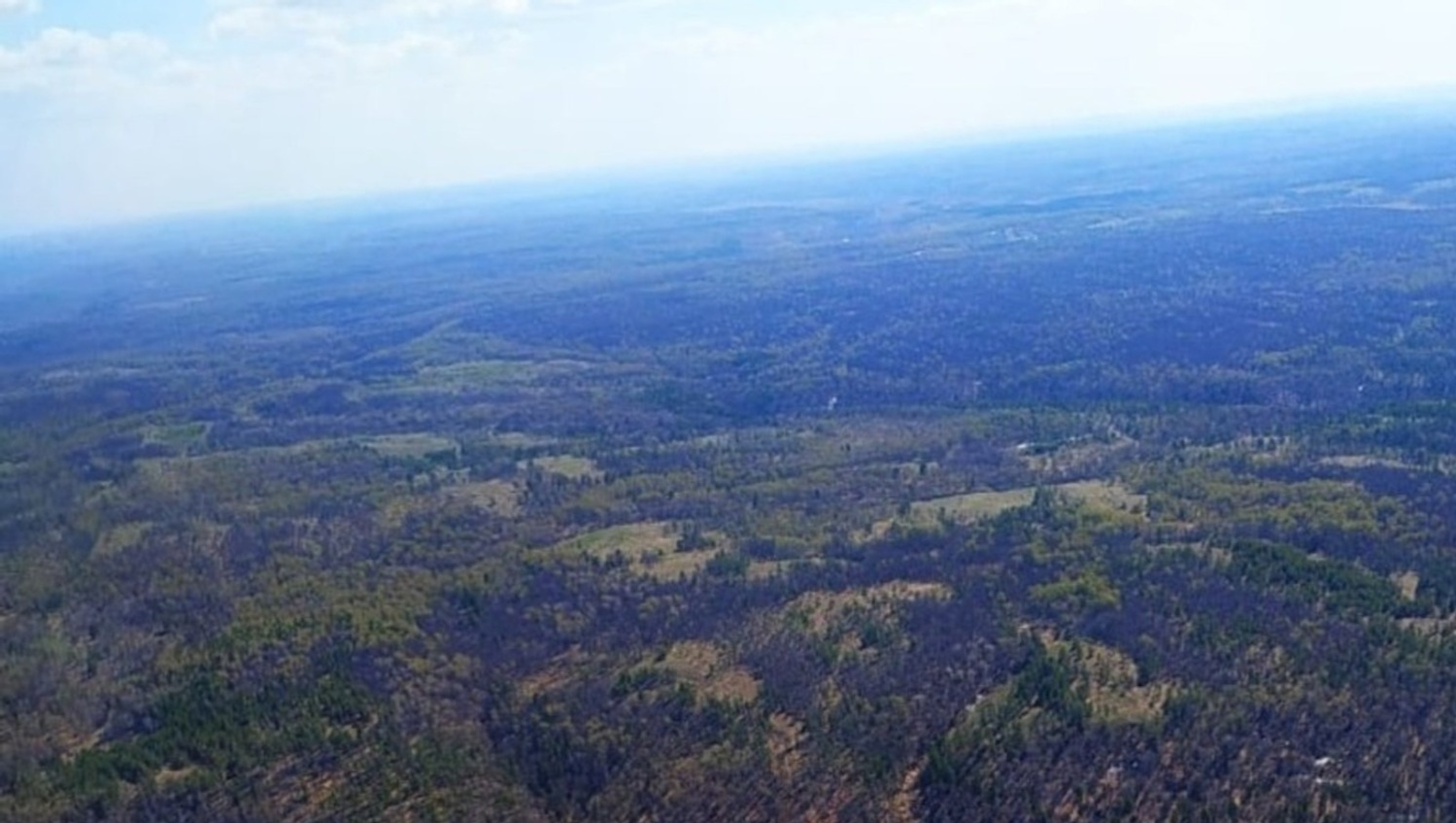 минлесхоз РБ