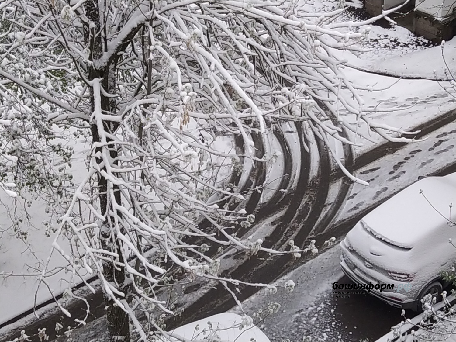 Олег Яровиков