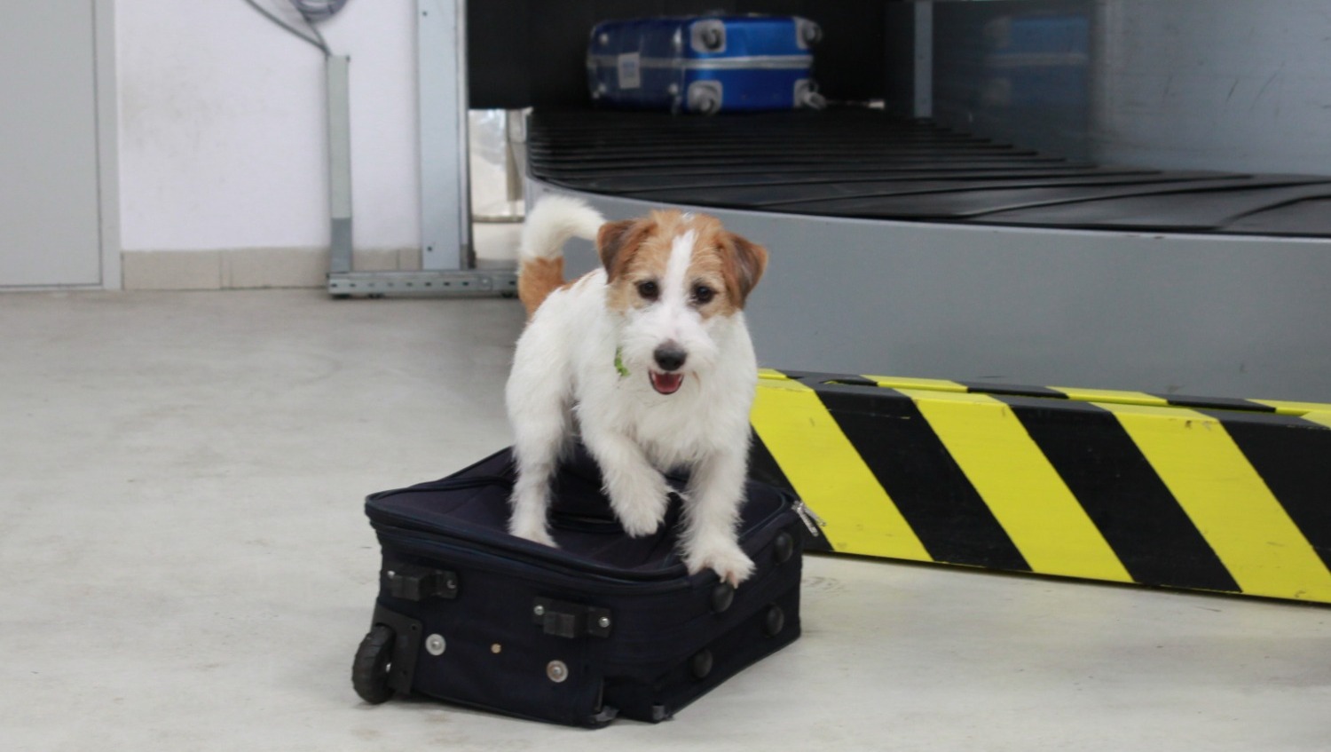 пресс-служба Башкортостанской таможни