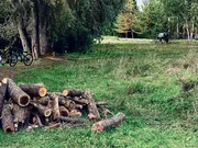 Ксения Калинина ИА «Башинформ»