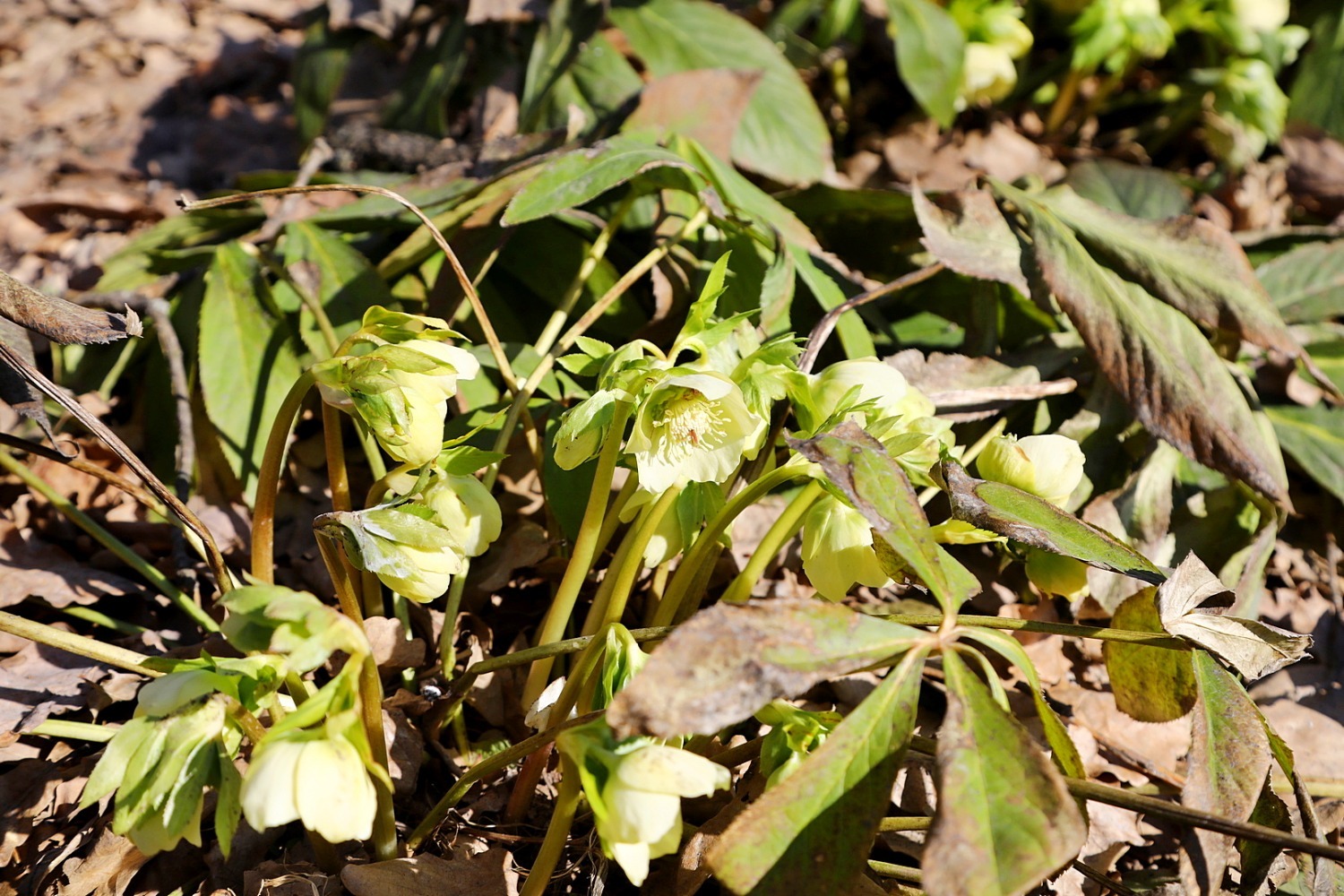 Валерий Шахов ИА «Башинформ»