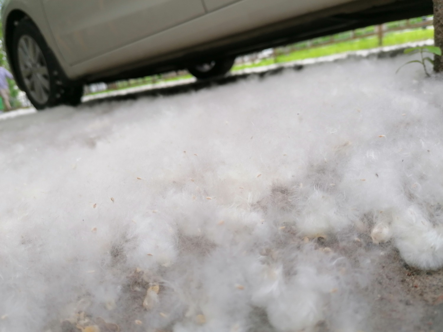 ИА «Башинформ»