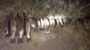 Гузель Гильманова природный парк «Аслы-Куль»