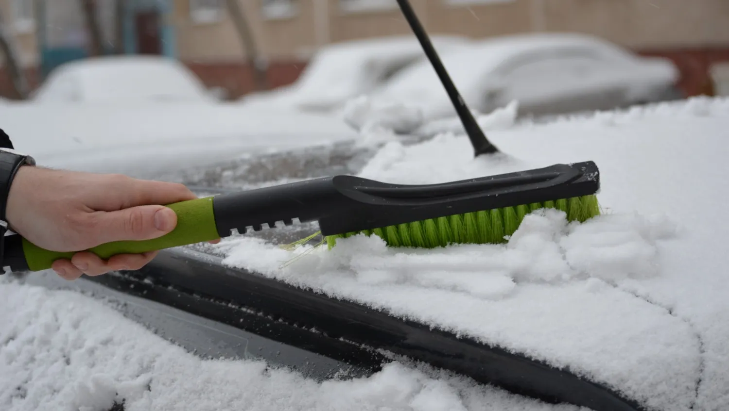 Ксения Калинина