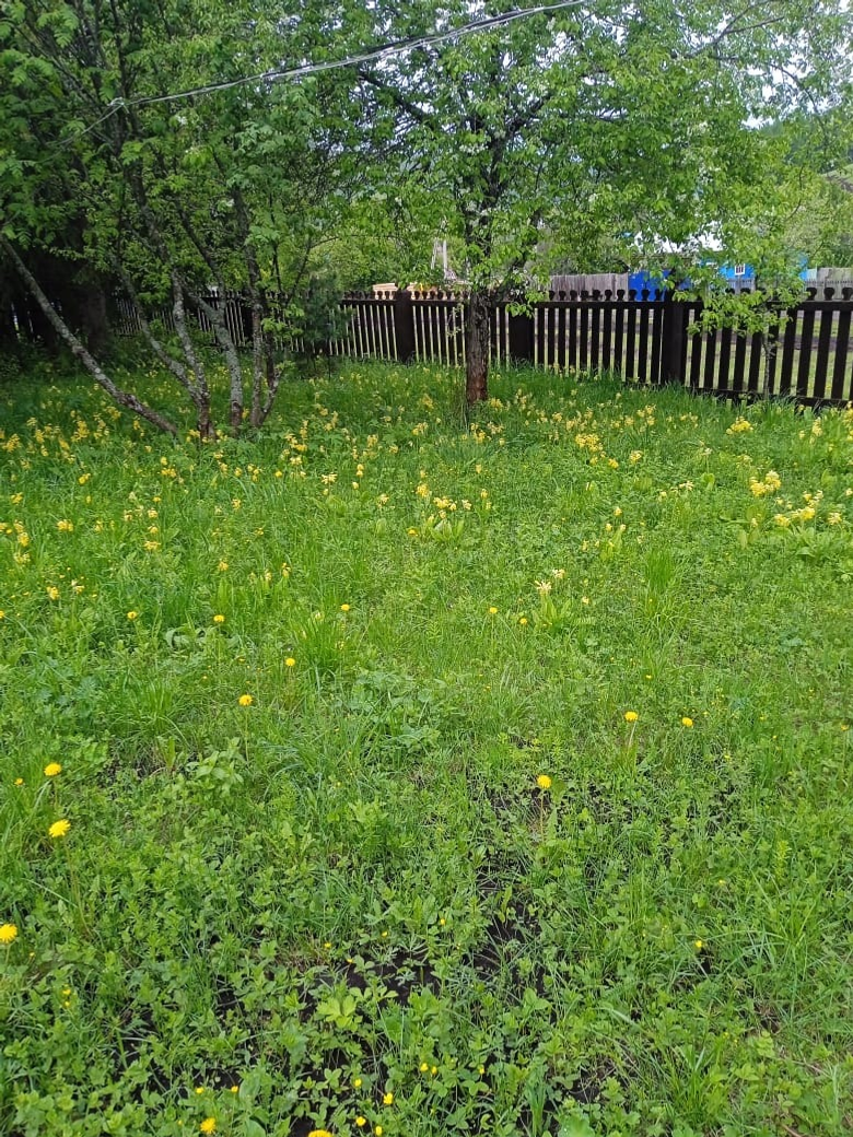 Природный заповедник «Шульган-Таш»