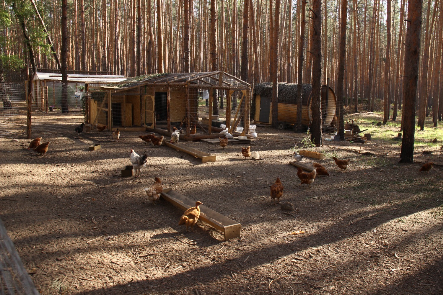 Эдуард Кускарбеков