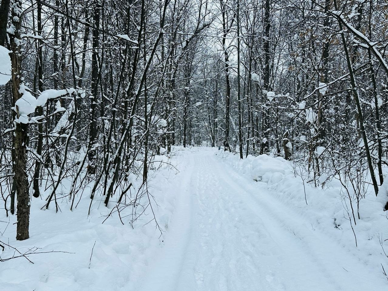 Иван Иванов телеграм-канал