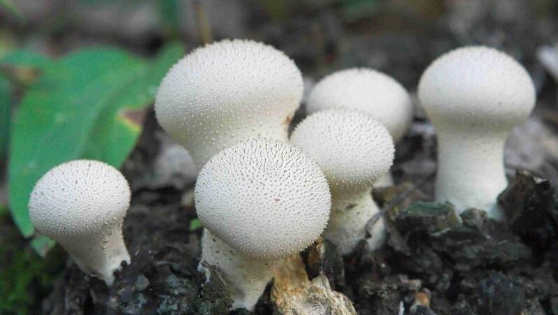 архив ИА Башинформ