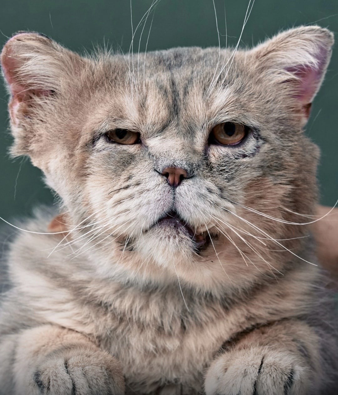 предоставлено Светланой Ильясовой