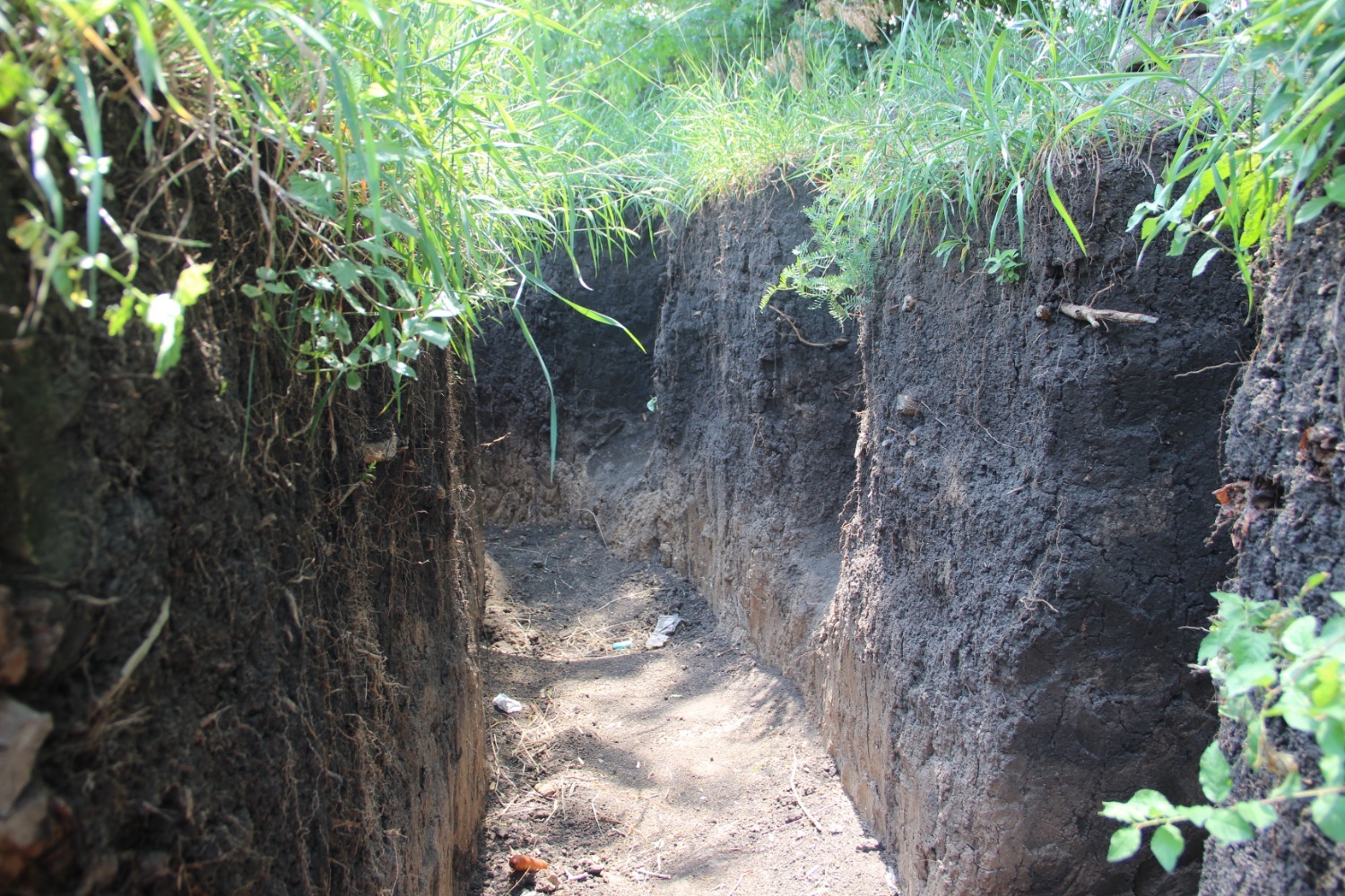 Эдуард Кускарбеков