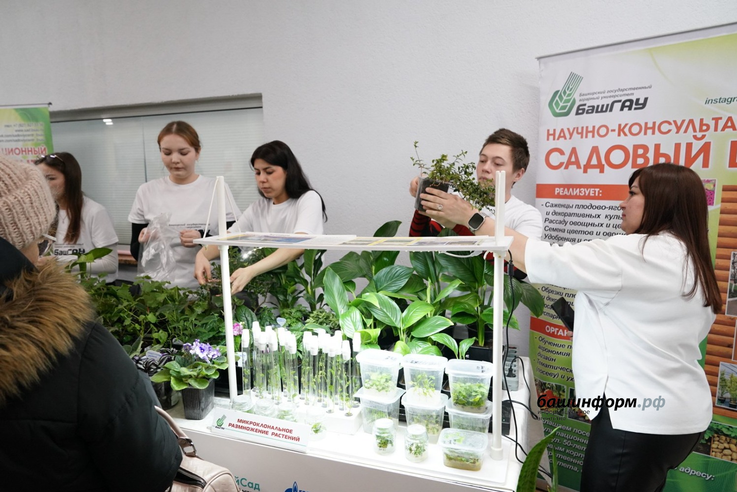 Олег Яровиков  ИА «Башинформ»