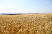 Валерий Шахов ИА «Башинформ»