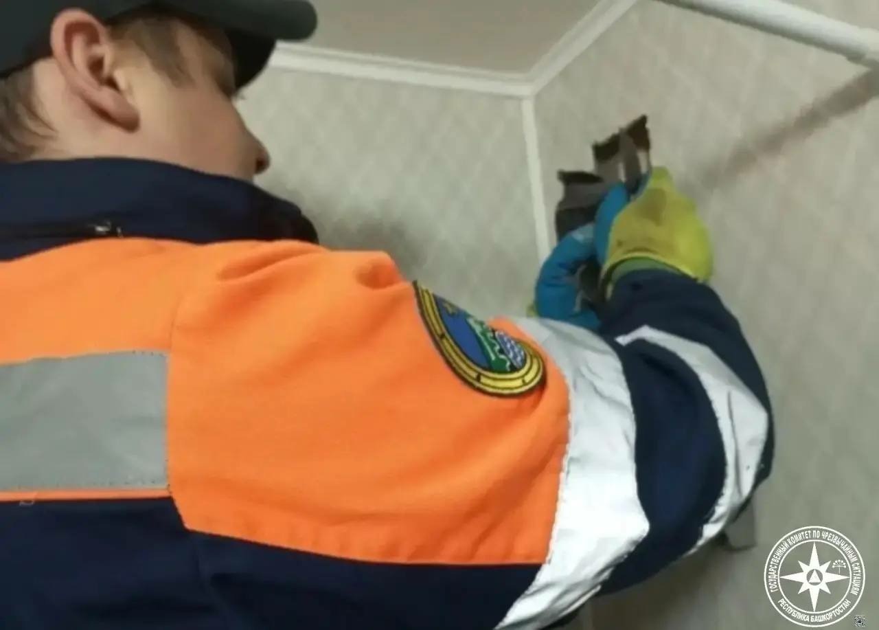 пресс-служба  Госкомитета РБ по ЧС