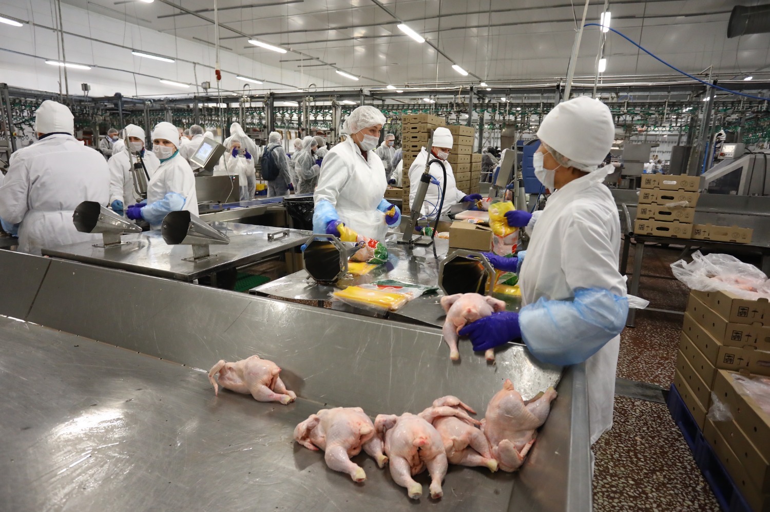 Валерий Шахов