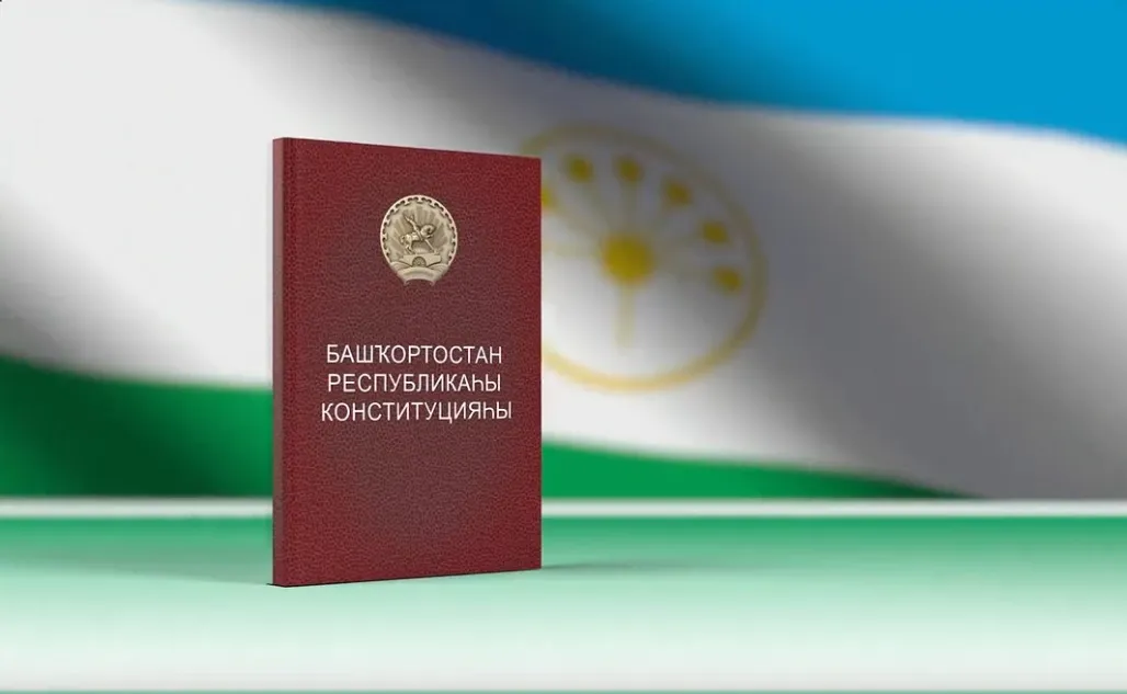 скриншот видео соцсети Главы РБ