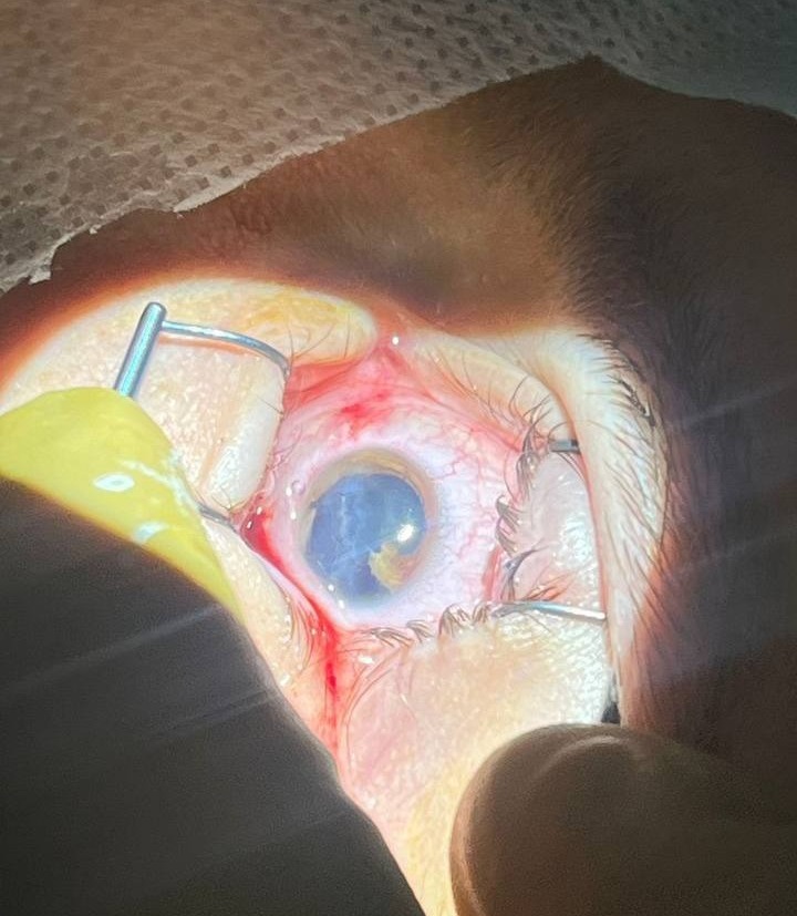 Айрат Рахматуллин, телеграм  18+