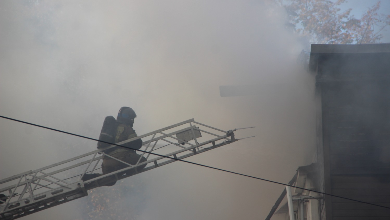 Ксения Калинина