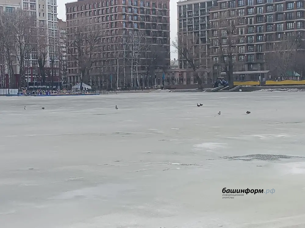 Александр Зайцев специально для ИА «Башинформ»