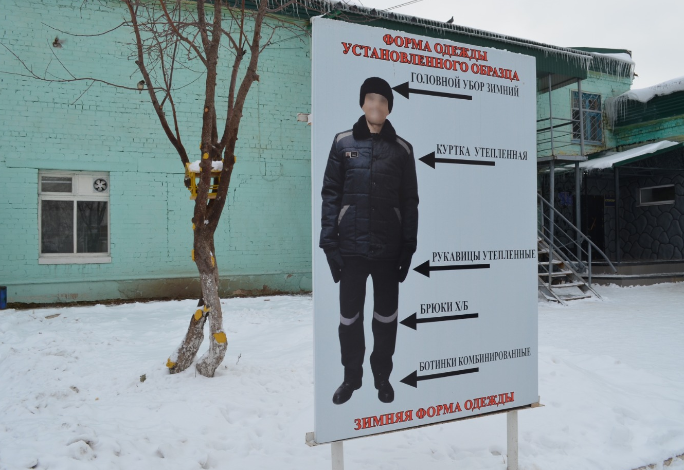 Ксения Калинина