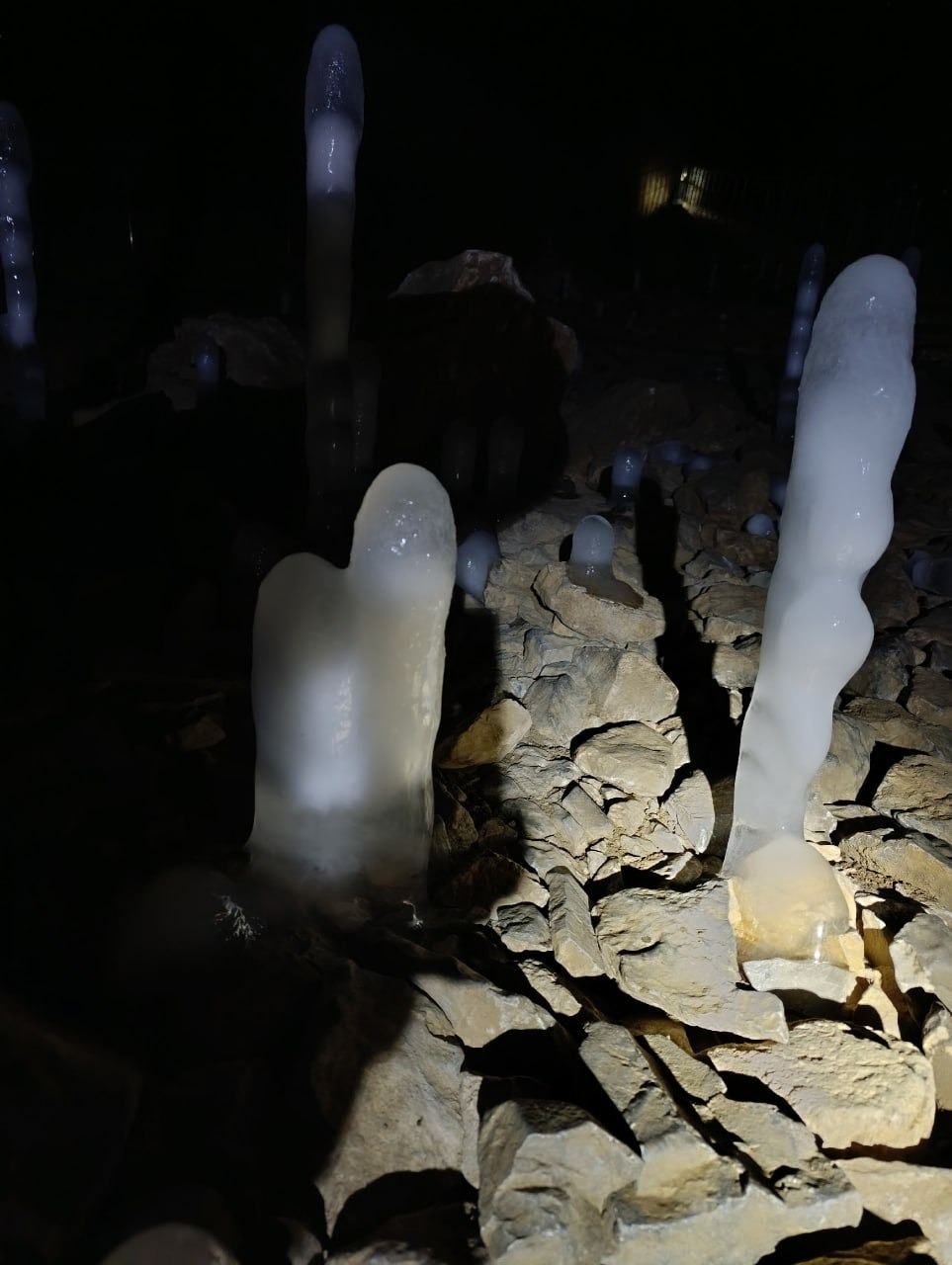 пресс-служба Государственный заповедник «Шульган-Таш»