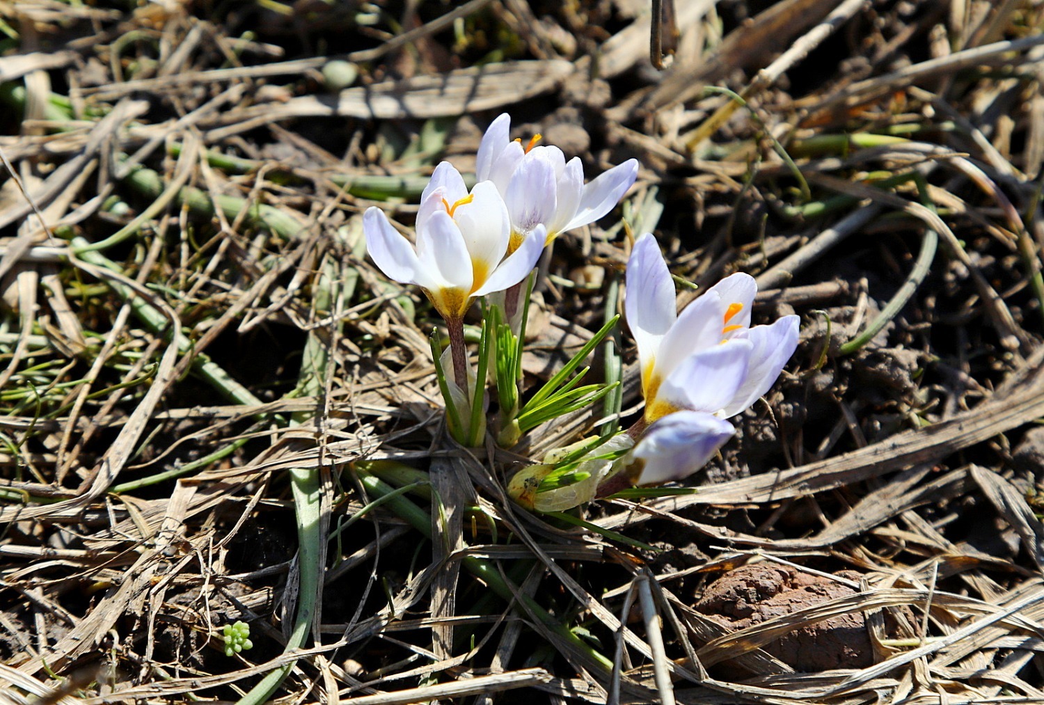 Валерий Шахов ИА «Башинформ»