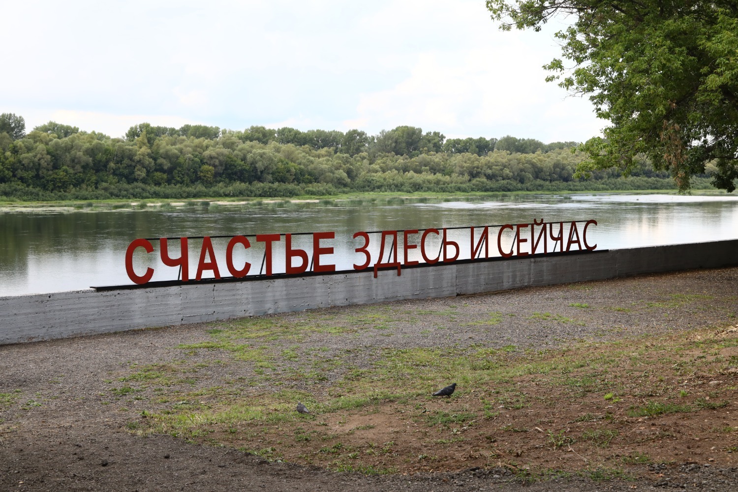 Валерий Шахов