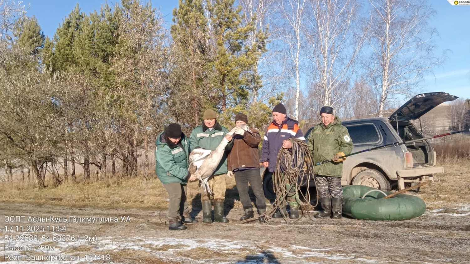 Галимуллина У. А. природный парк "Аслы-куль"