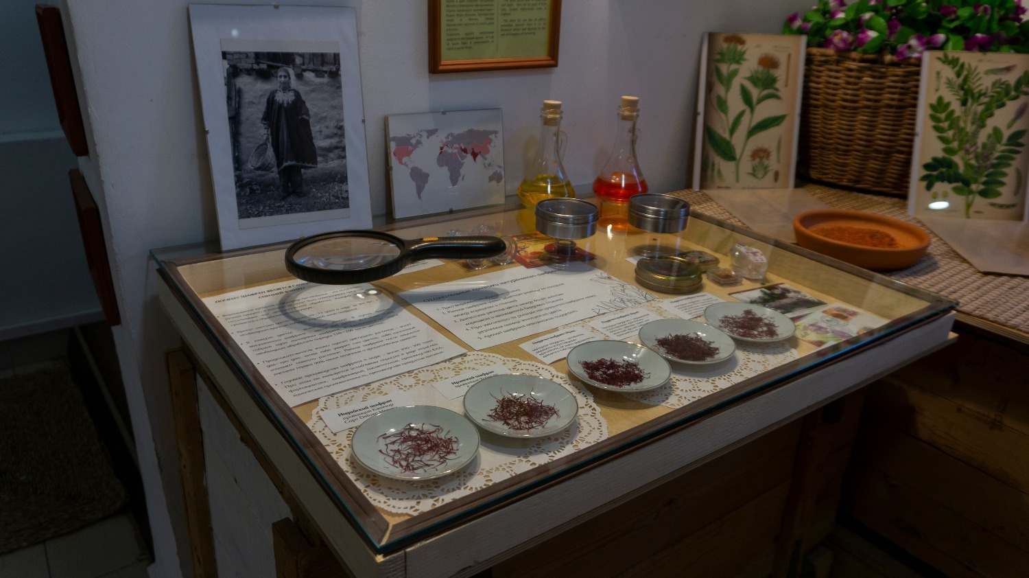 В музее специй