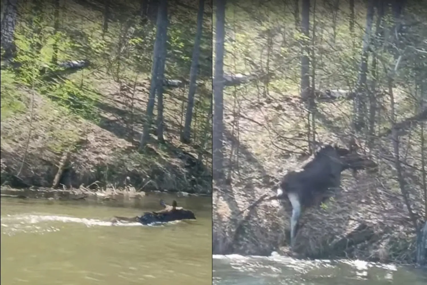 скриншот видео