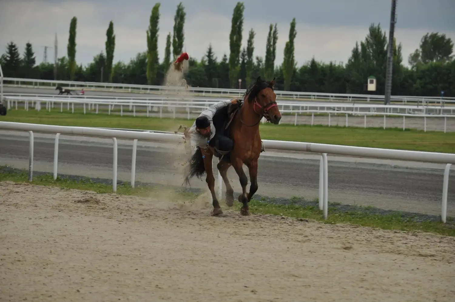 Э. Юмагузина ипподром «Акбузат»