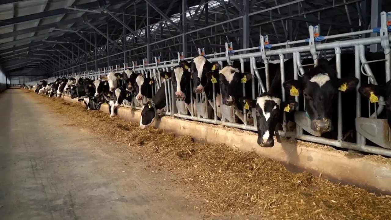 телеграм-канал Радия Хабирова, архивное фото