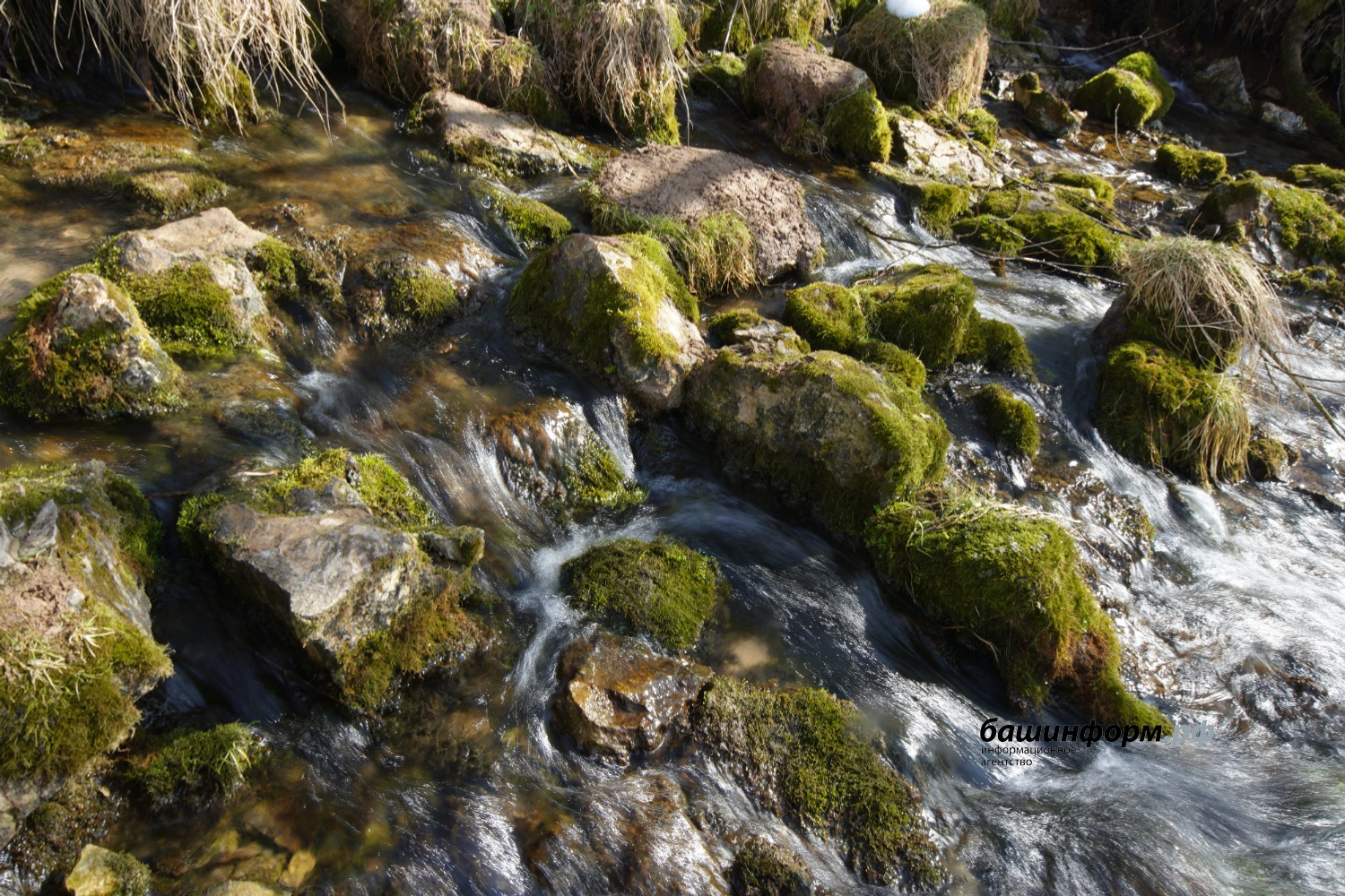 Олег Яровиков ИА "Башкортостан"