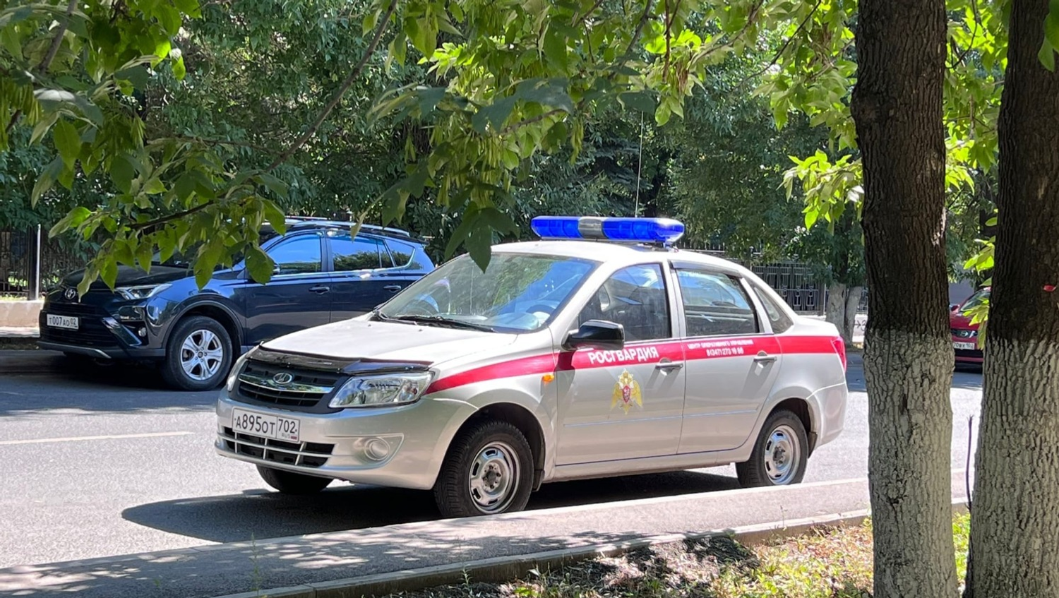 Дарья Субботина