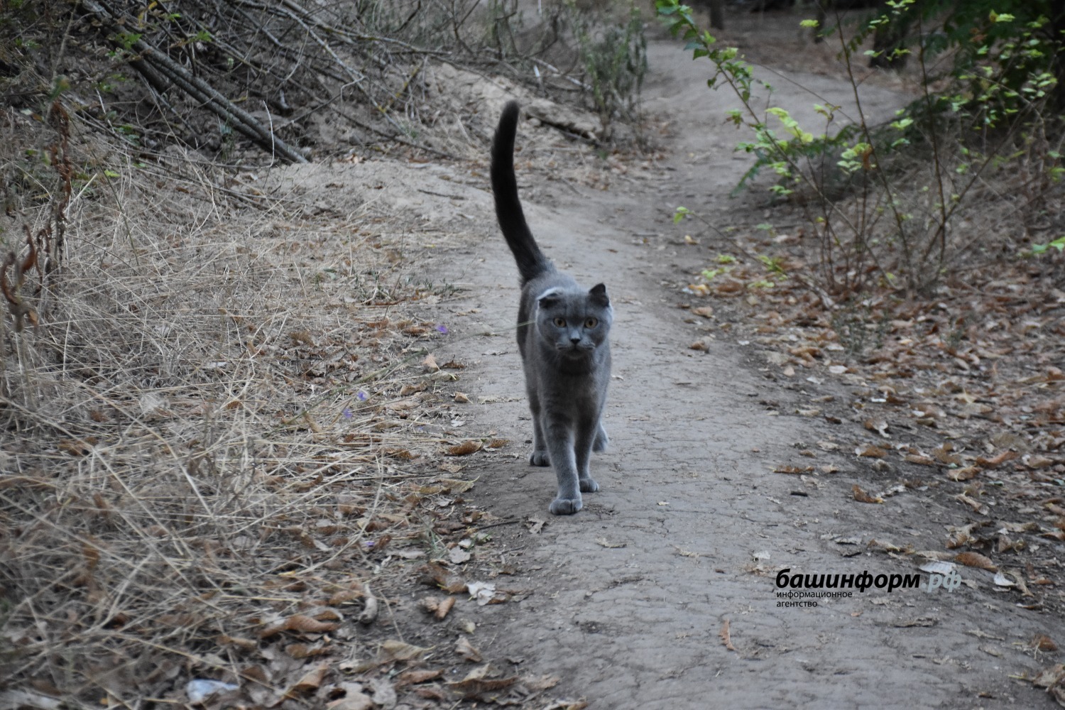 Эдуард Кускарбеков