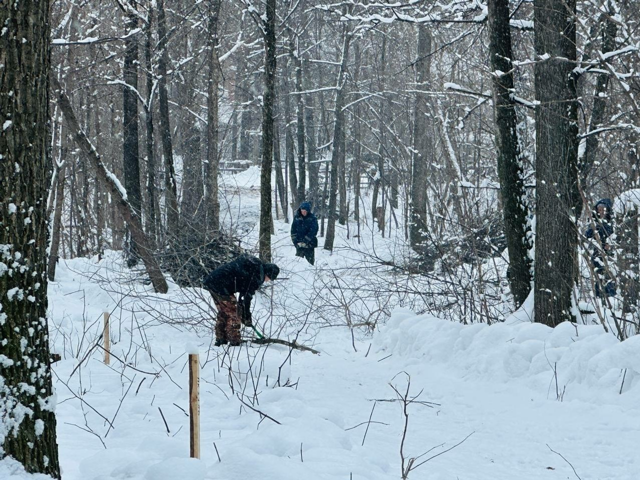 Иван Иванов телеграм-канал