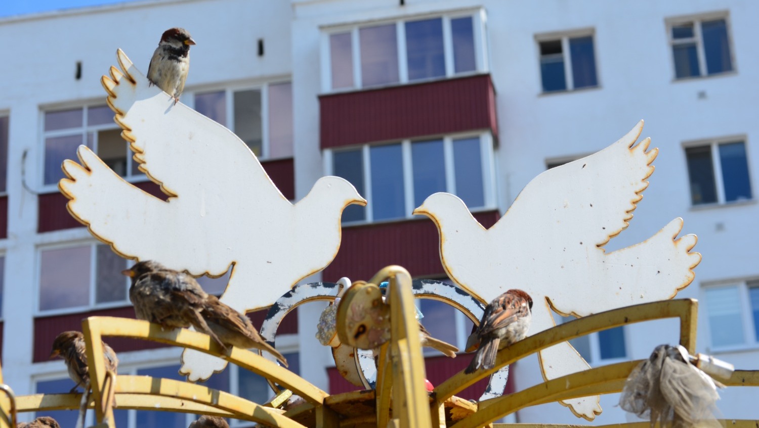 Ксения Калинина