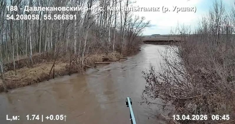 Кирилл Первов ТГ-канал