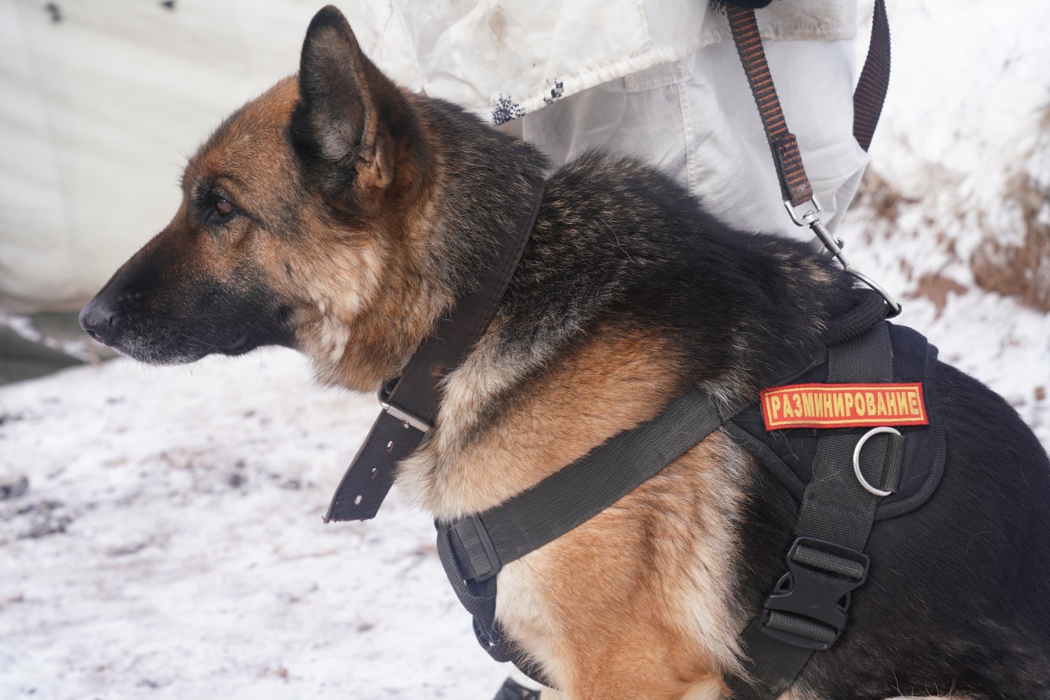 Олег Яровиков