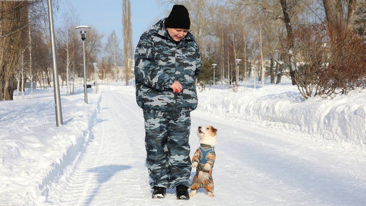 Валерий Шахов